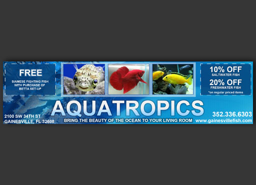 Aquatropics 1
